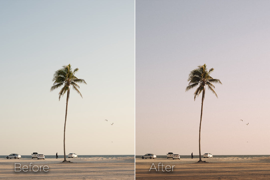 The Film Tones - Lightroom Preset Pack