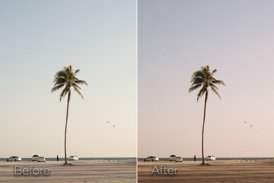 The Film Tones - Lightroom Preset Pack