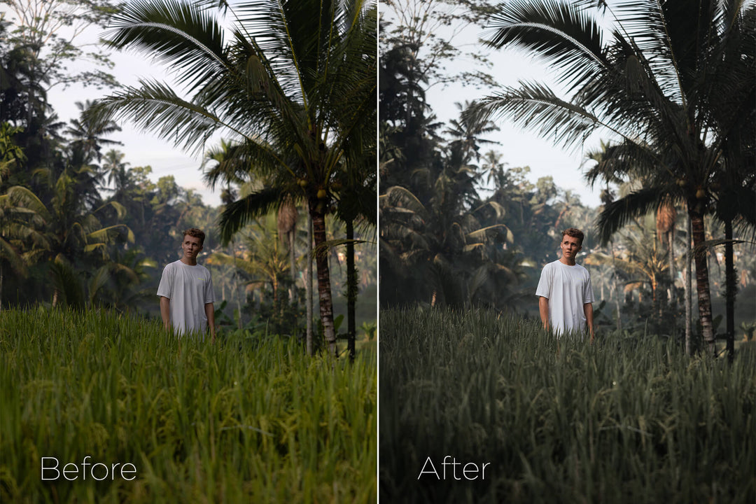 The AI Editing System for Lightroom