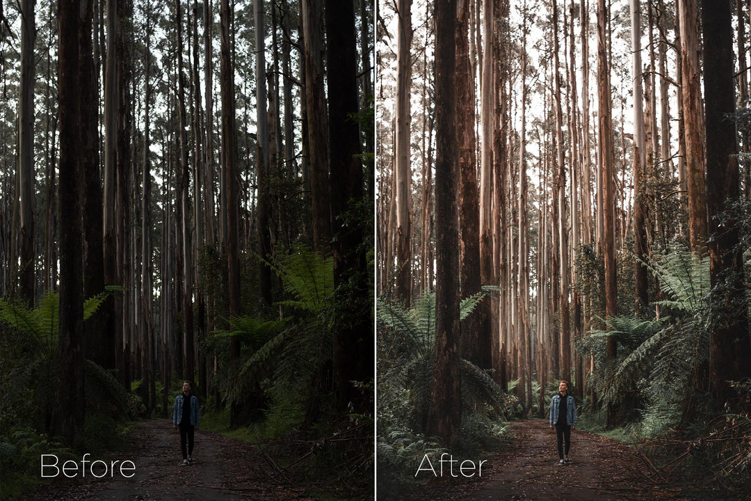 Lightroom Preset Pack - Mood